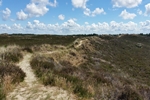 Duenenlandschaft